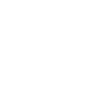 Angular Icon