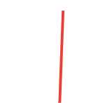 Shopify Icon