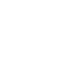 Wordpress Icon